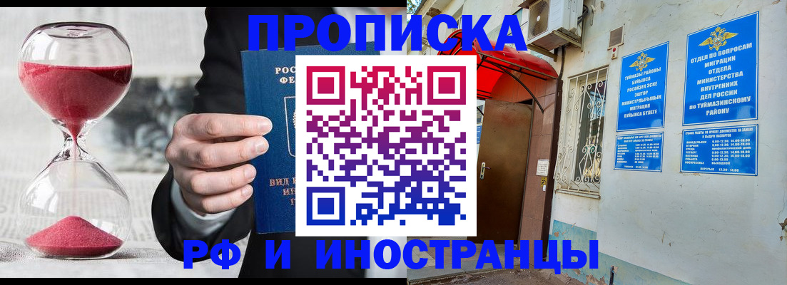 прописка 2025 в Ковылкино